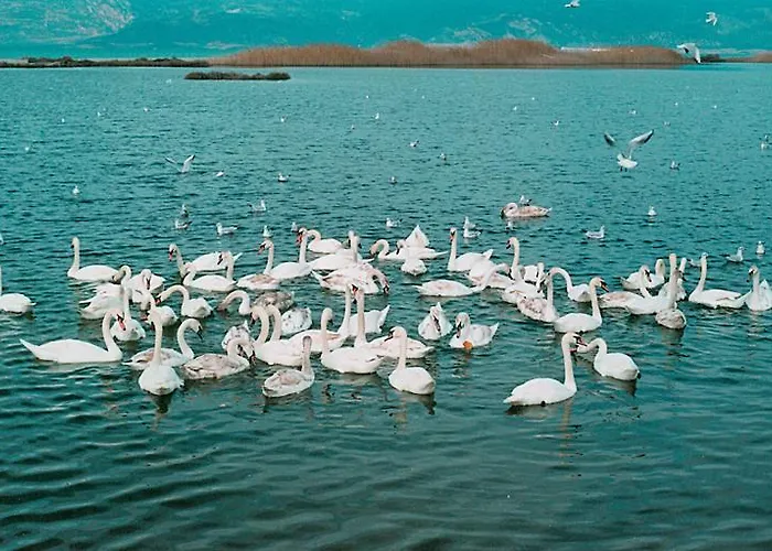 Christopoulos * Égio